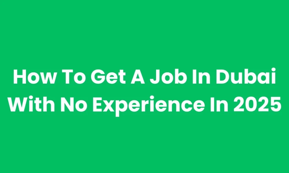 How to Get a Job in Dubai with No Experience?